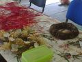 Fotografia11